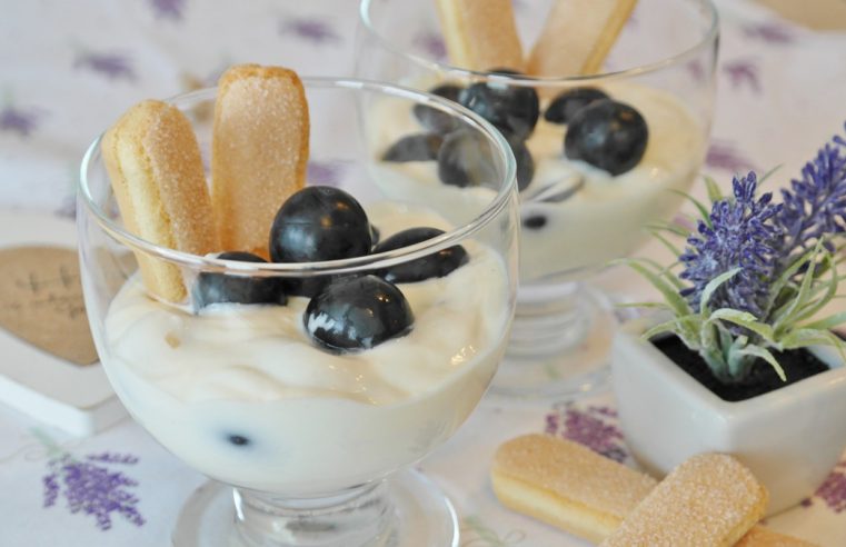 Découverte des différentes variétés de fromage blanc