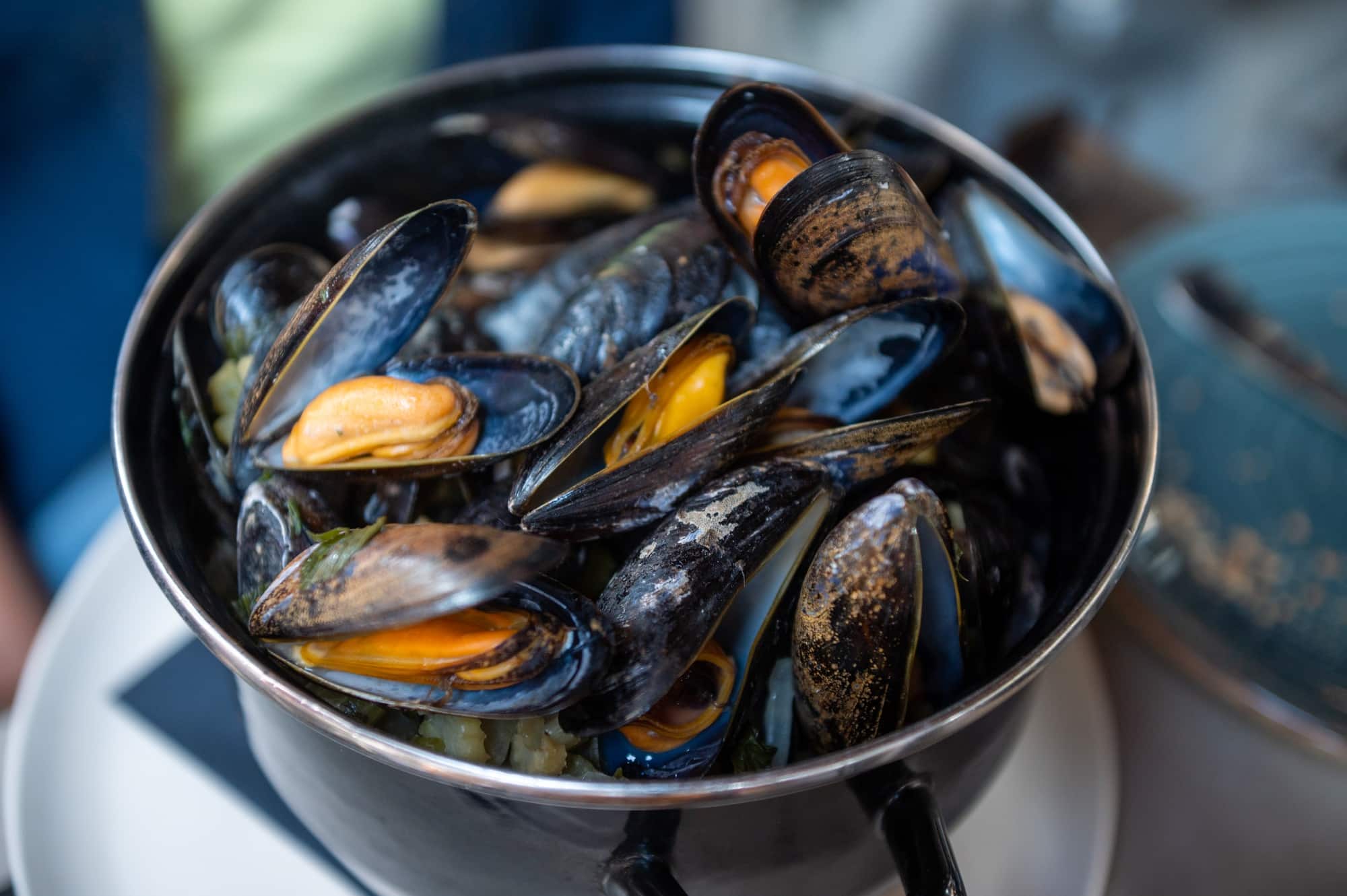 moules cuites au frigo